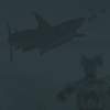 Morrowind Water Life shark eating fish image